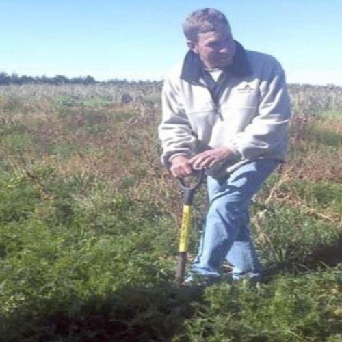 Biological Farming Trending Up